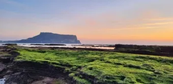 성산일출봉 입장료 할인팁과 해돋이 명소로 가는 길 정리_15