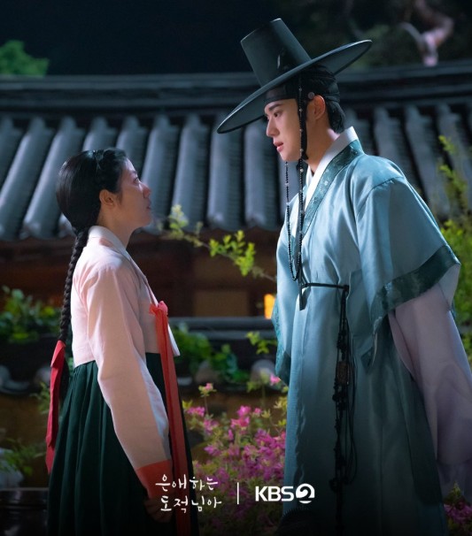 드라마 은애하는 도적님아 몇부작, OTT 웨이브, 줄거리, 원작 웹툰, 등장인물