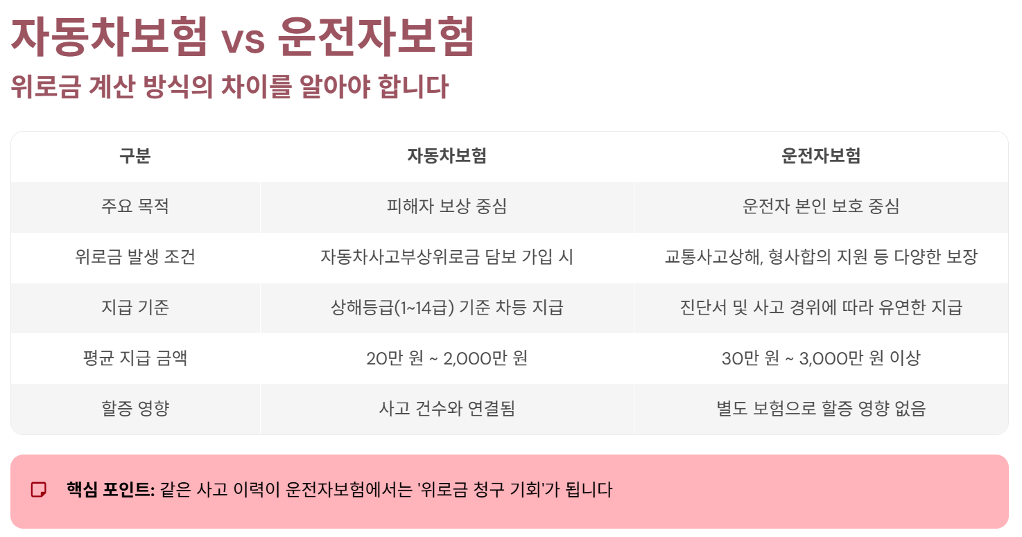 자동차보험과 운전자보험 비교