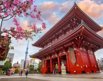 일본 여행 필수 실용 팁 면세 환급 현지 교통패스 모바일 결제 완벽 총정리_4