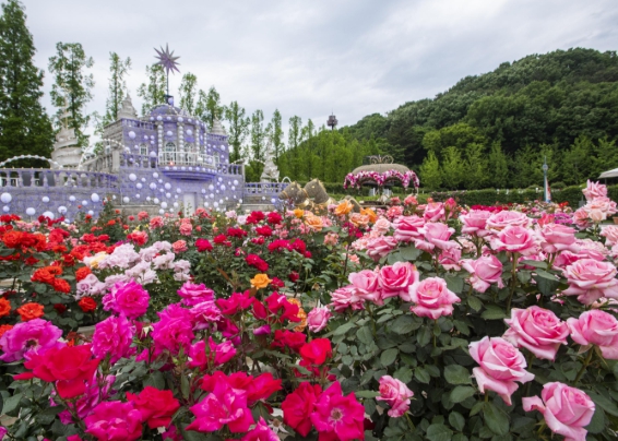 에버랜드 자유이용권 할인꿀팁