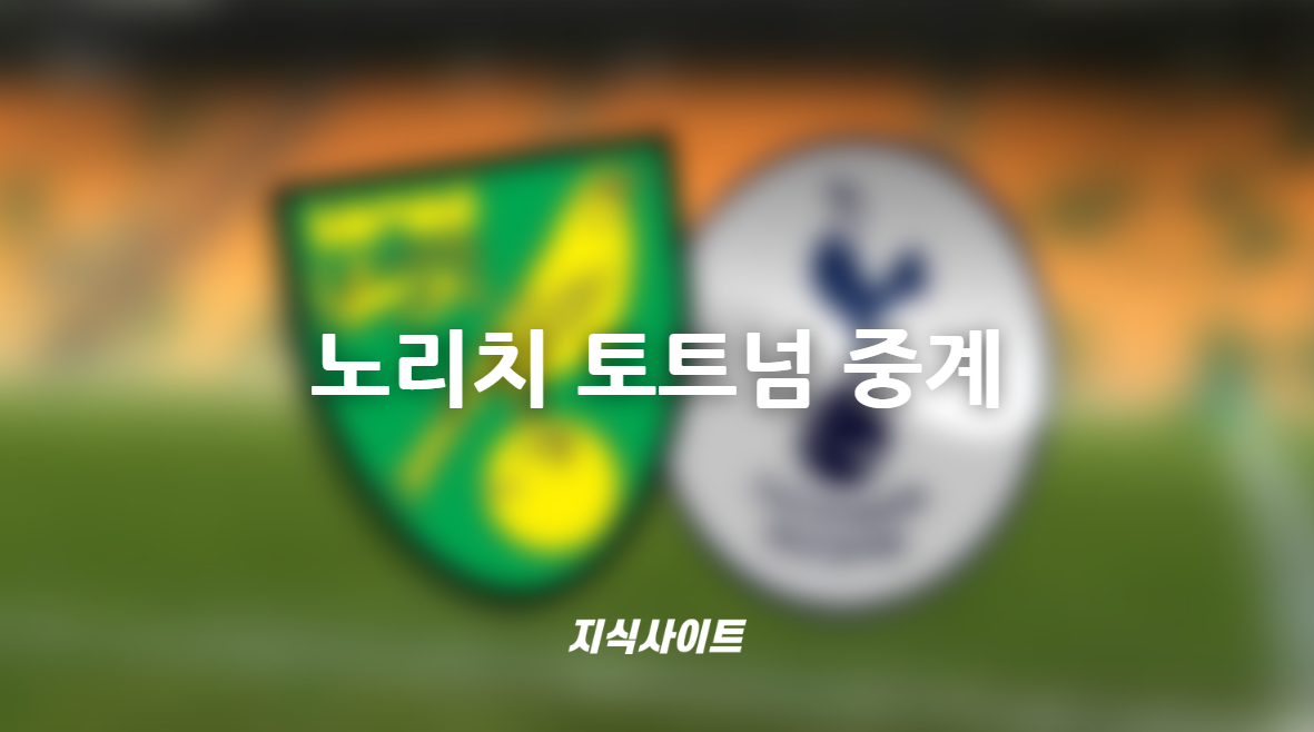 토트넘 노리치 중계 챔피언스리그 진출 결정전