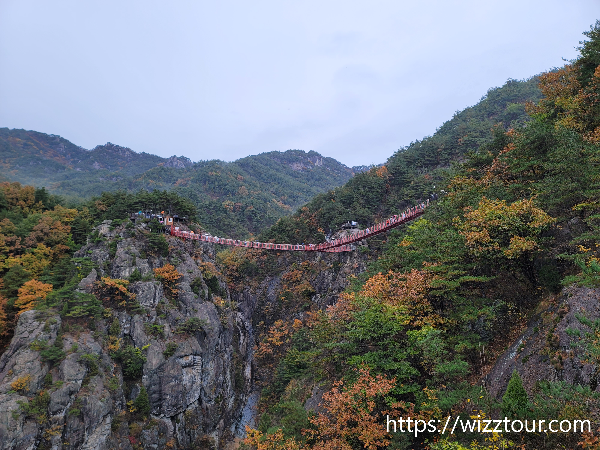 거창 항노화 힐링랜드와 Y자형 출렁다리