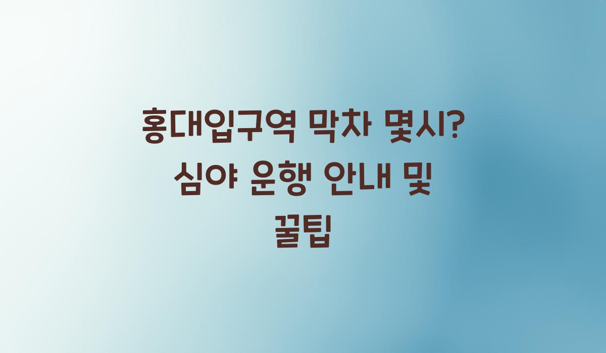 홍대입구역 막차 몇시