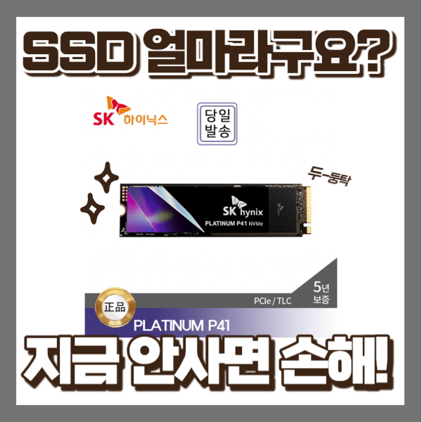 ssd 지금 안사면 손해