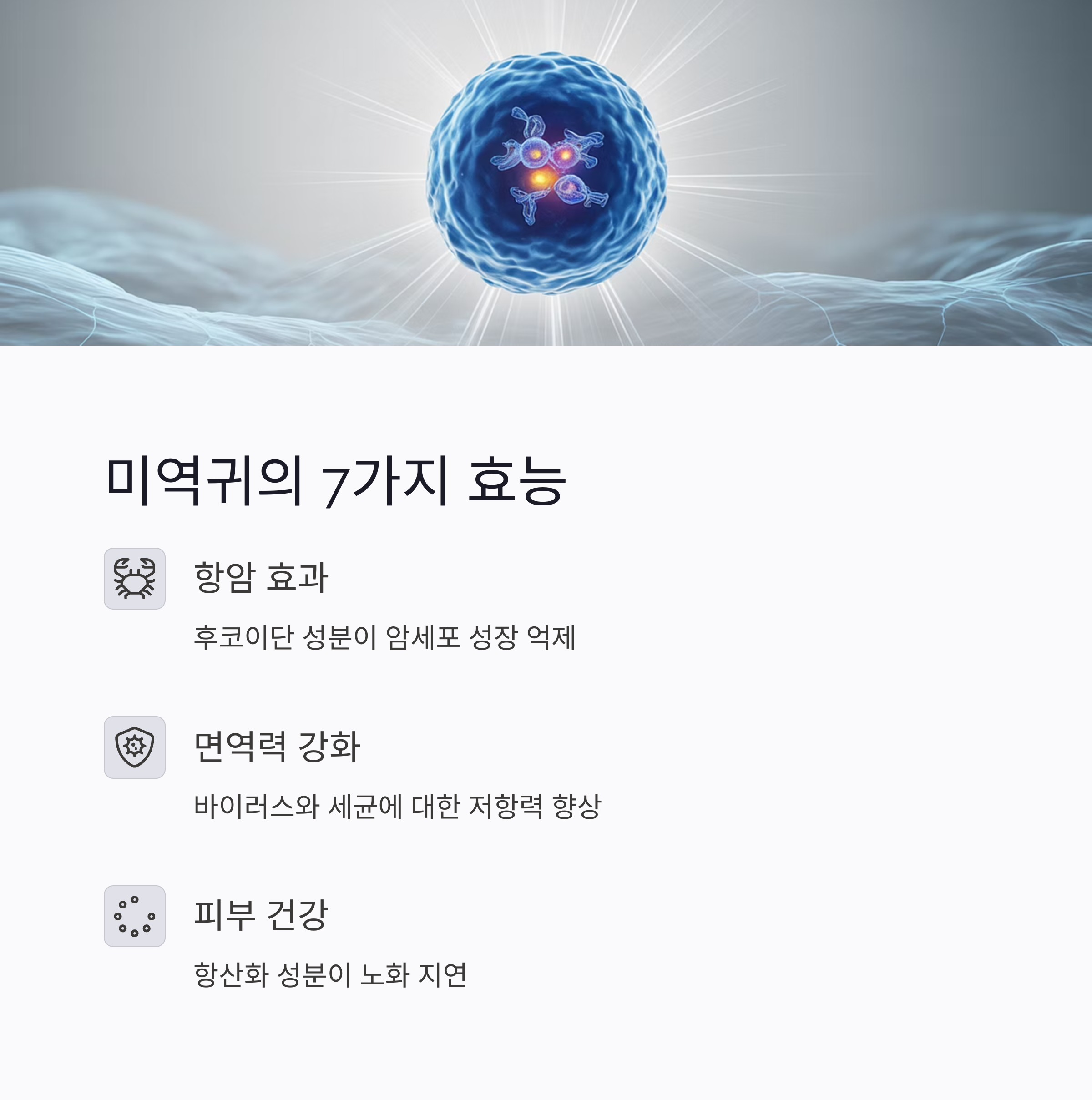 미역귀-7가지-효능