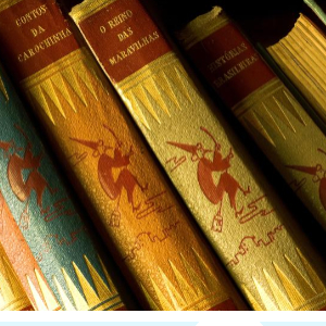 2024 노벨문학상 한강소설