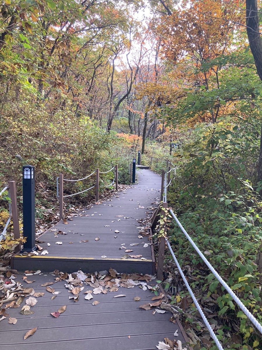 바라산 자연휴양림