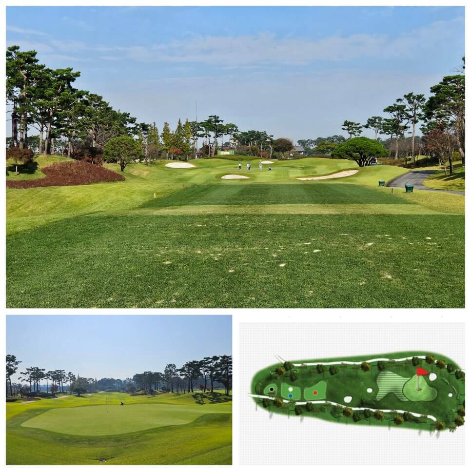 골프장 경험담 당진 파인스톤cc 대형 멋진 정원에서 환상의 골프 운동