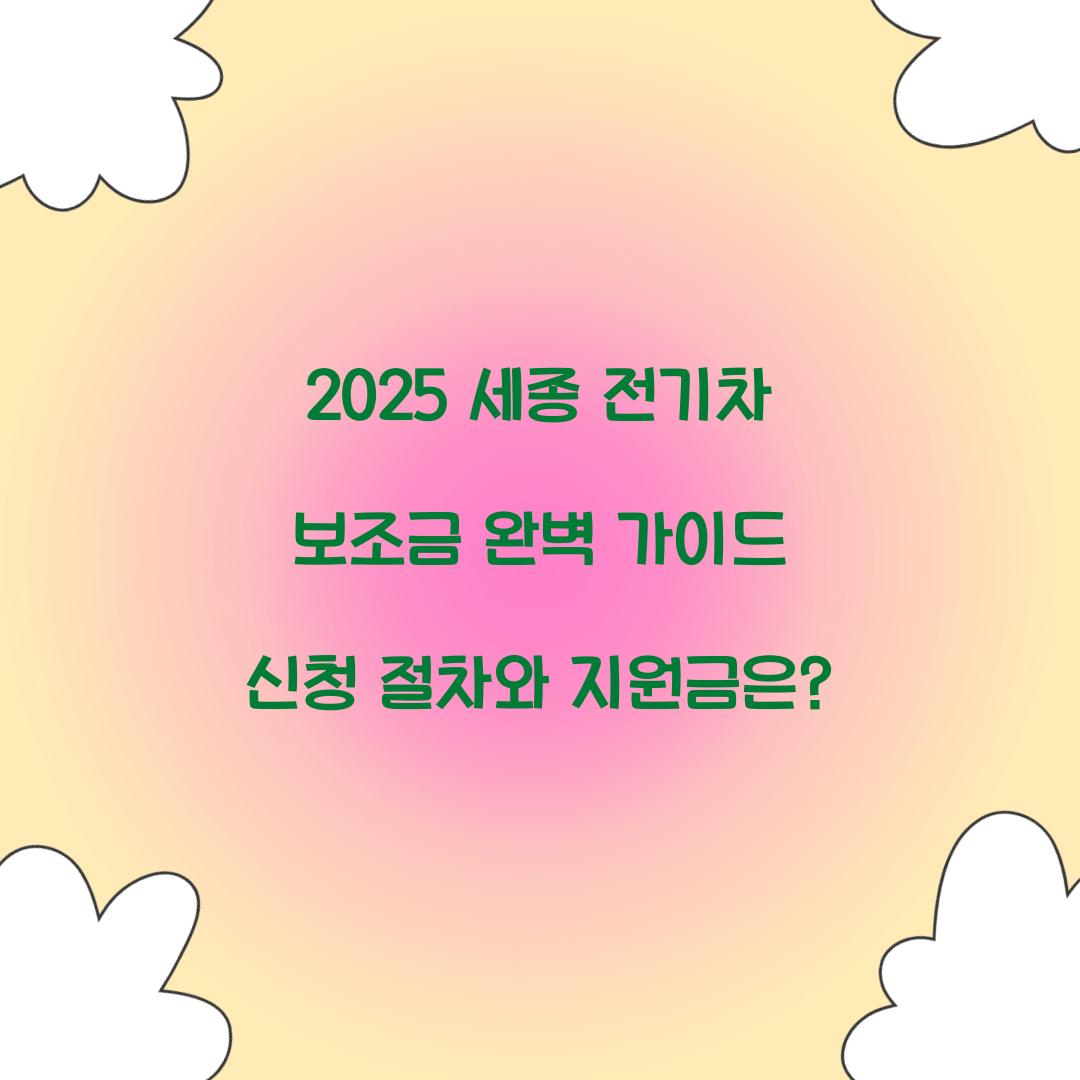 세종 전기차 보조금