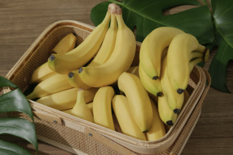 역류성식도염 증상 자연치료 방법 좋은 음식 등 총정리(2024 최신)