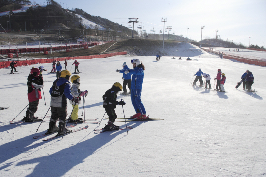 알펜시아 리조트 스키장