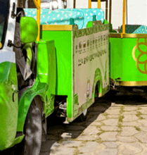 경주 비단벌레차 예약