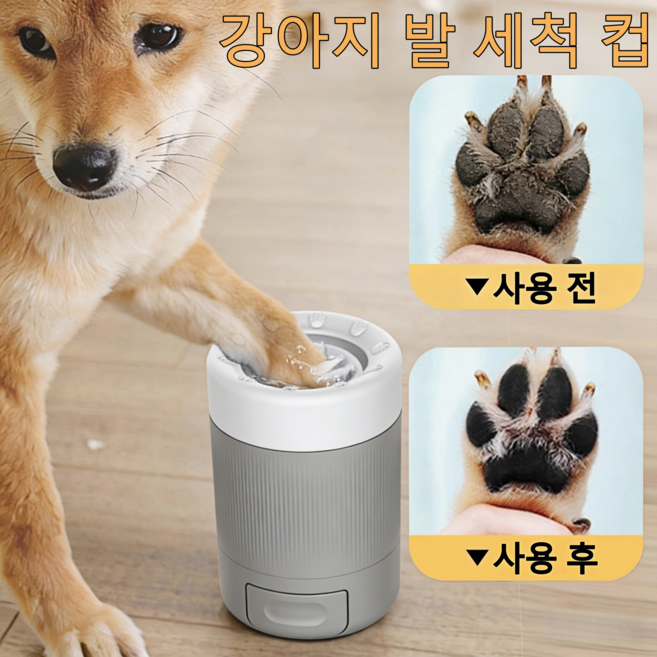 강아지 여행 후 발을 씻기고 휴식을 취하는 모습