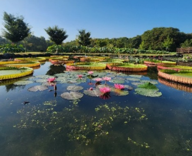 함양 가볼만한곳 추천여행지 BEST 10곳