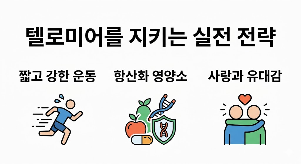 텔로미어를 보호하는 세 가지 핵심 전략을 직관적인 디자인 아이콘으로 표현하고 있습니다. 고강도 운동을 상징하는 역동적인 러닝 아이콘, 세포를 방어하는 항산화 영양소 아이콘, 그리고 따뜻한 유대감을 나타내는 포옹 아이콘을 통해 건강한 삶을 위한 실천법을 명확하게 전달합니다.