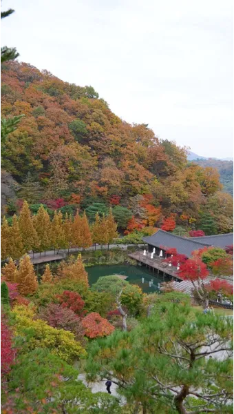 화담숲 예약하기 예약 방법 입장료 모노레일_3
