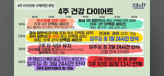 스위치온다이어트: 신진대사를 촉진하고 체중 감량을 돕는 새로운 다이어트 방법