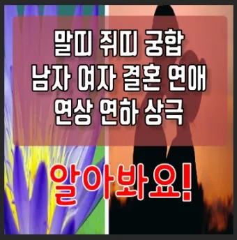말띠 남녀 궁합 궁합표로 보는 결혼운 사랑운 종합 분석_28