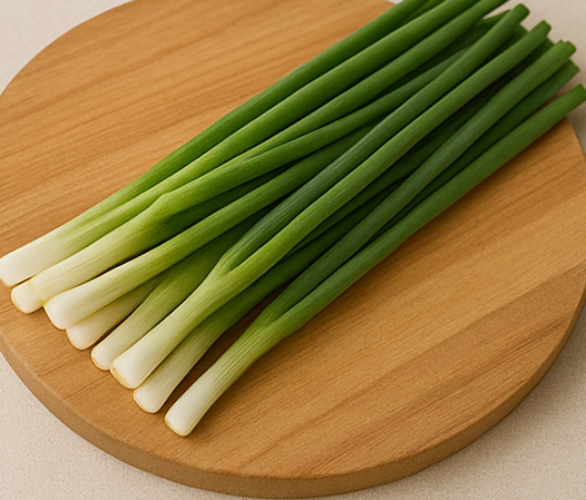 파김치 레시피