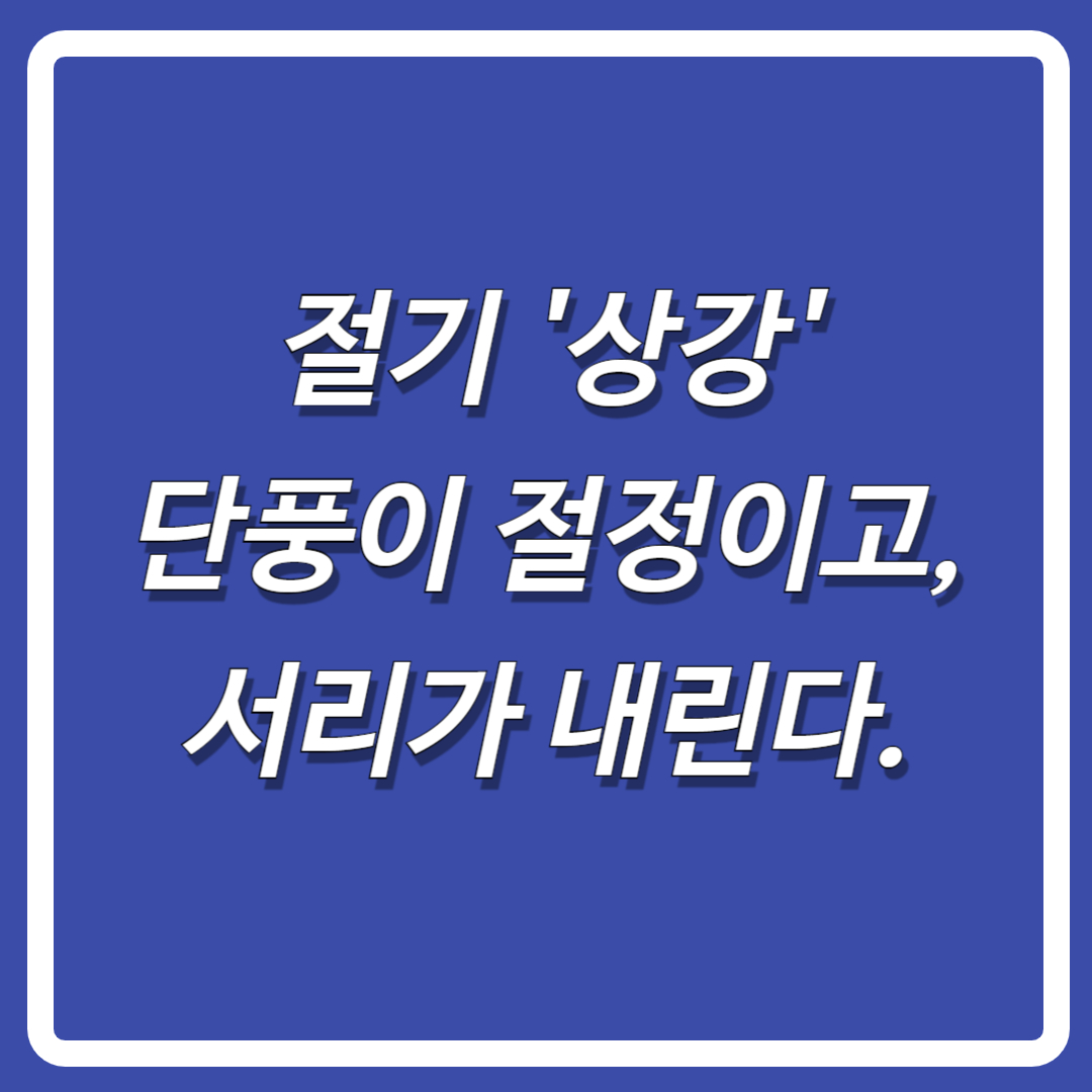 절기-상강