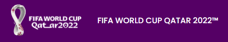 카타르 월드컵 2022년