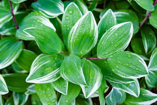 손없는날 이사 밥솥 이사비용_8