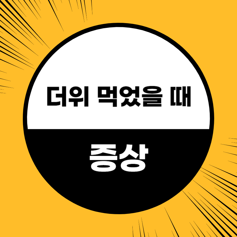 더위 먹었을때 증상