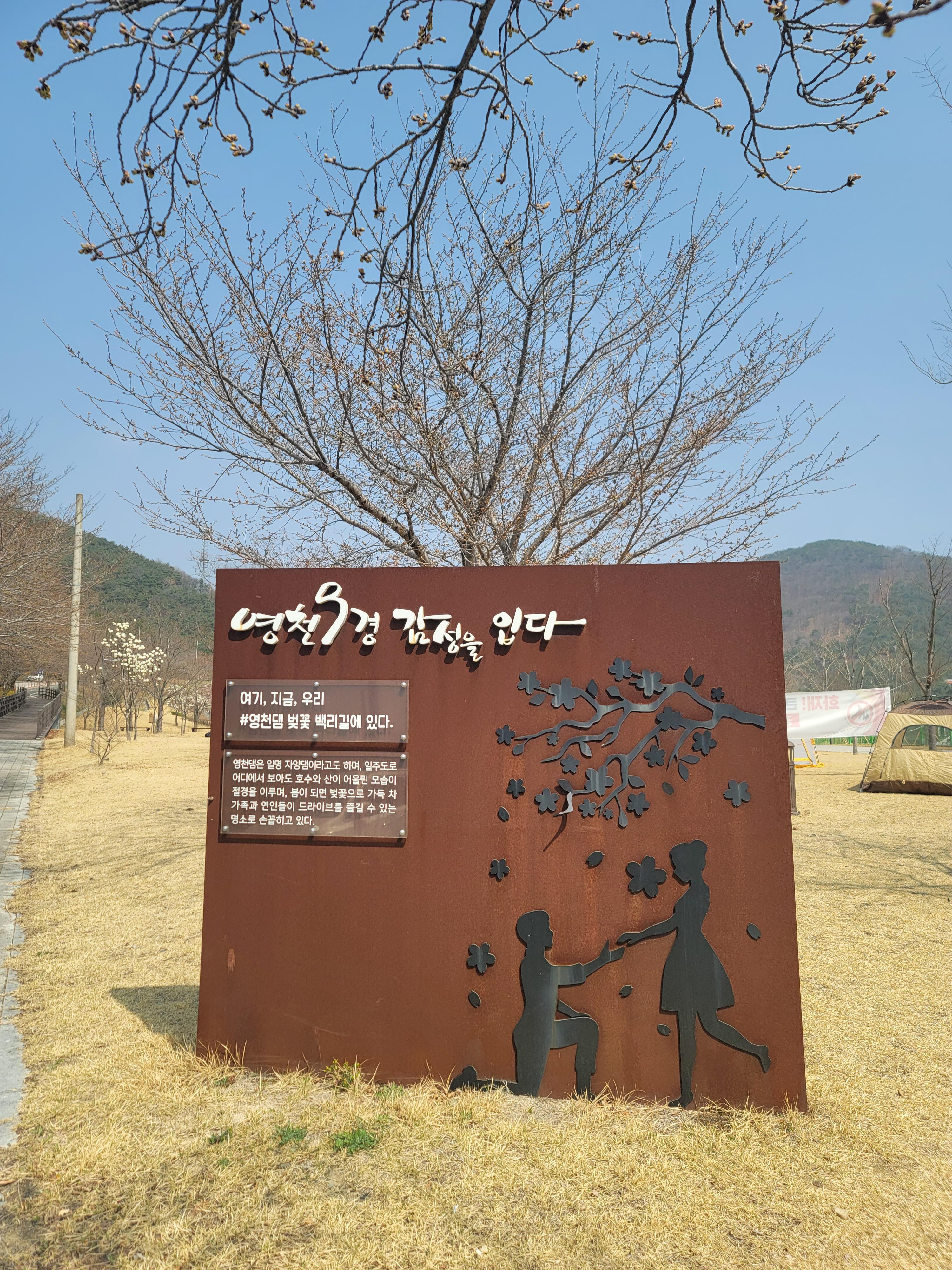 영천9경 감성을 읽다