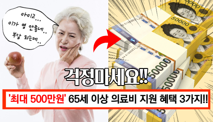 임플란트 치아 보험