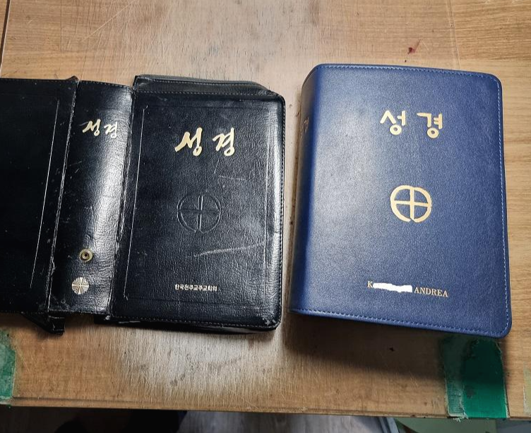성경 리폼