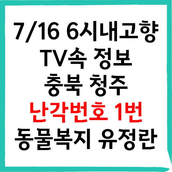 6시 내고향 청주 난각번호 1번 동물복지 유정란 파는곳!