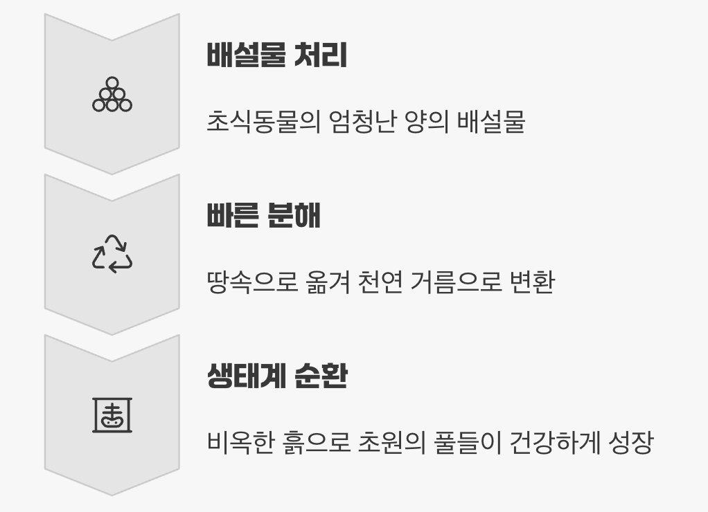 지구를 구하는 작은 청소부