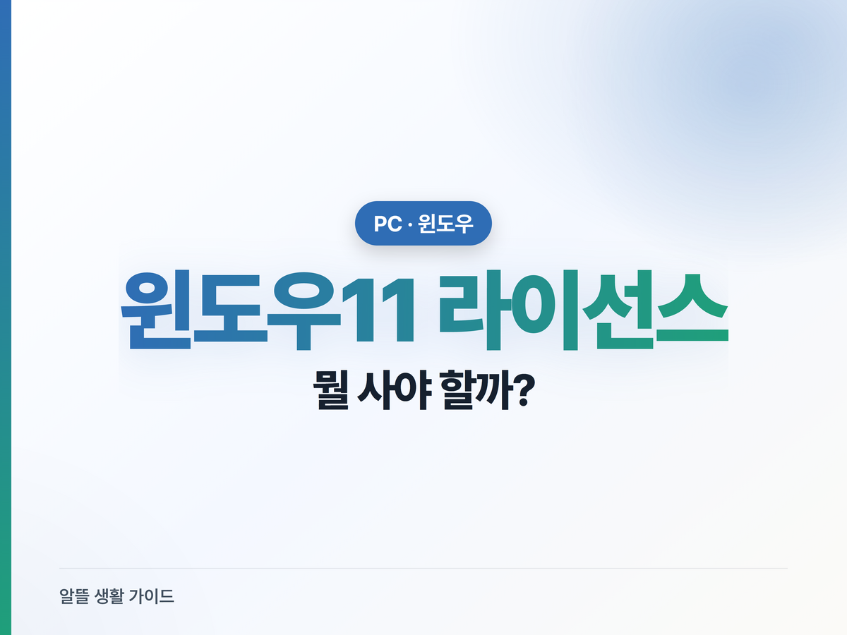 윈도우11 라이선스, 일반 소비자가 살 건 딱 2개
