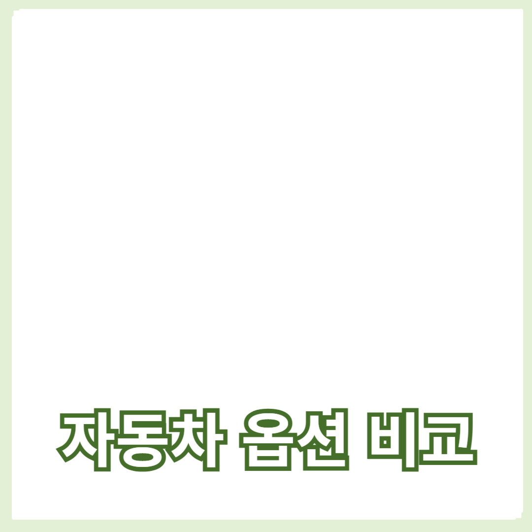 최신 트렌드와 필수 옵션