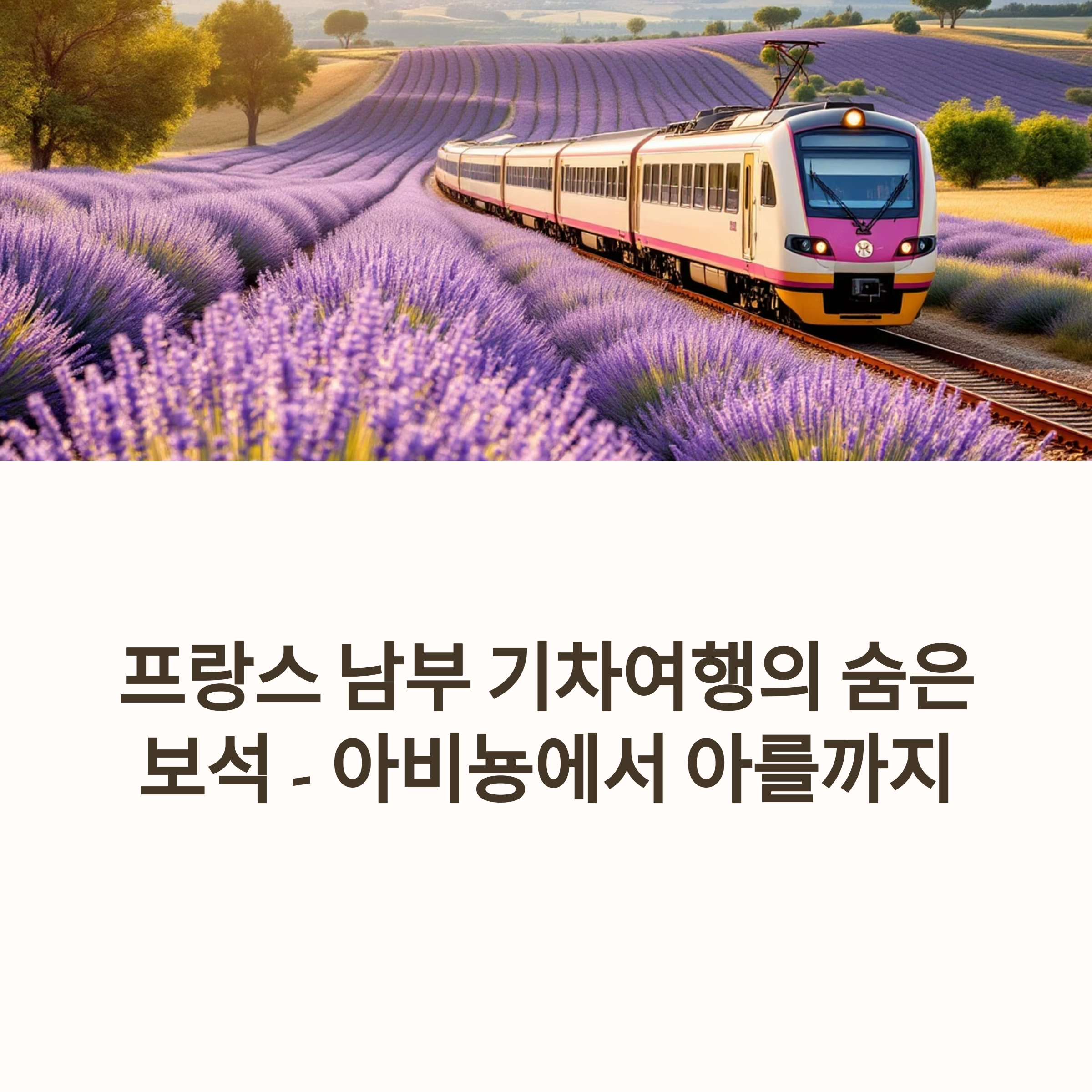 프랑스 남부 기차여행 꿀팁! 아비뇽 → 아를 당일치기 완벽 가이드