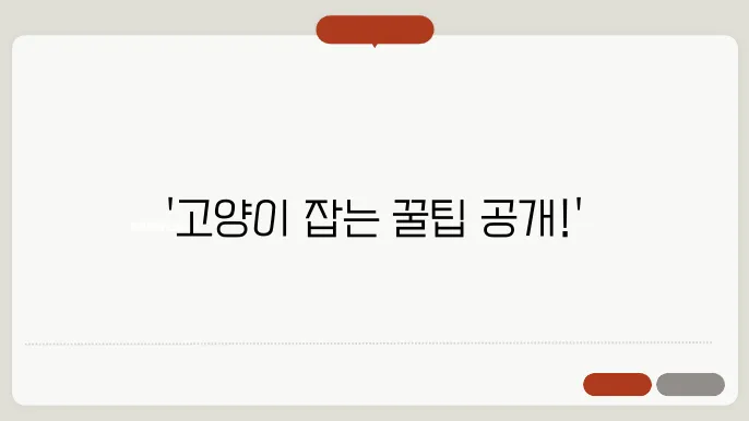 고양이 잡는법
