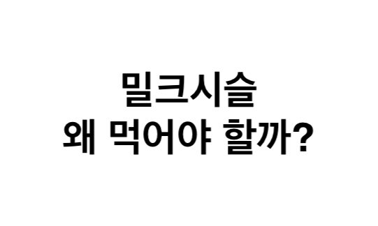 밀크시슬 왜 먹어야할까요?