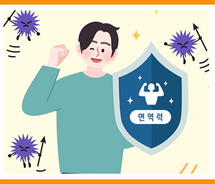 초석잠 효능 - 면역력 강화
