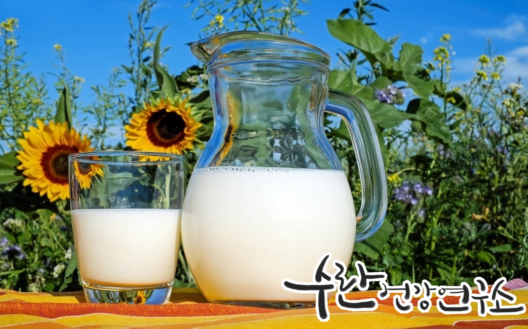 LGG 유산균 효능 부작용