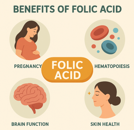 엽산의 체내 역할 분석