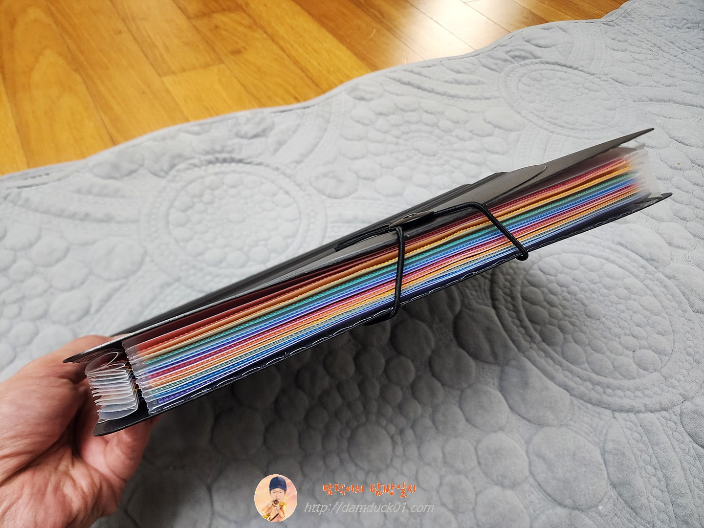 대용량 휴대용 아코디언 파일 박스, 확장 파일 폴더, 교실 사무실용, A4 크기, 12 포켓