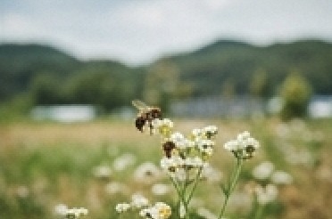 농사 직불금 대상자