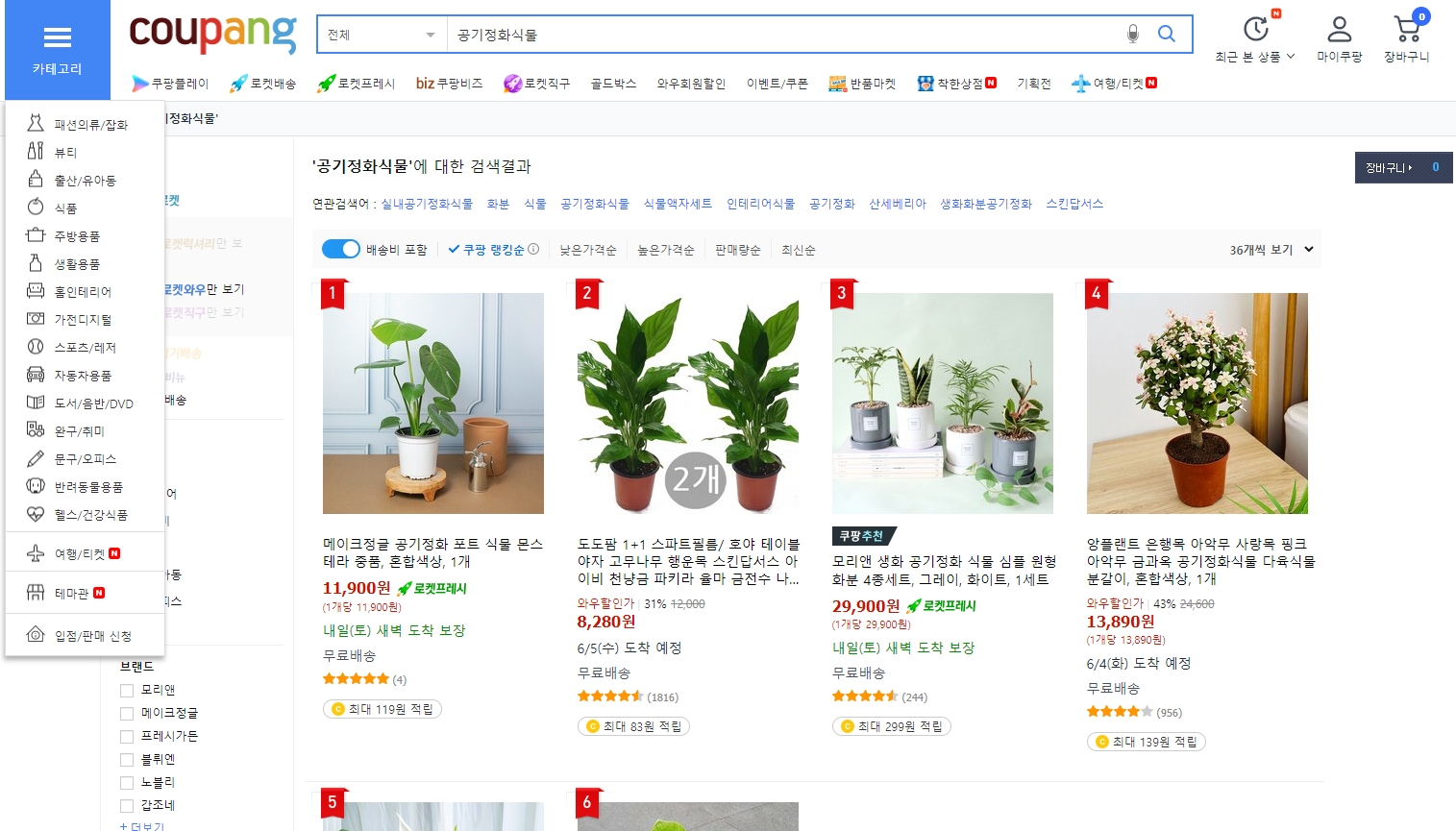 거실에 배치된 대형 공기 정화 식물 인테리어