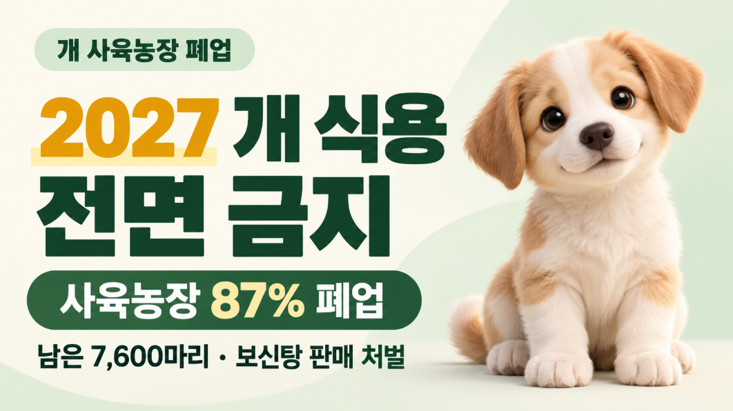 개 사육농장 폐업｜2027 개 식용 전면 금지 언제부터? 보신탕 판매 처벌&middot;사육농장 87% 폐업&middot;남은 7600마리 총정리