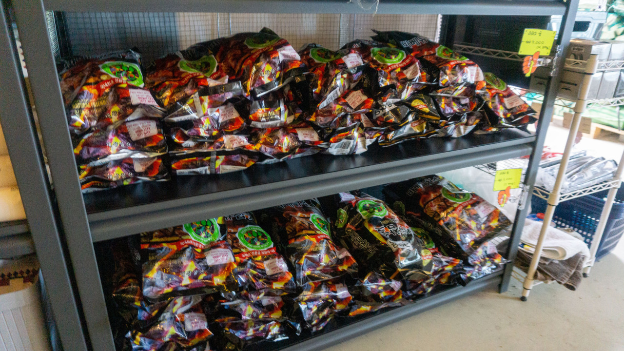 [경기] 양주 : 개네집캠핑장 (애견동반가능)