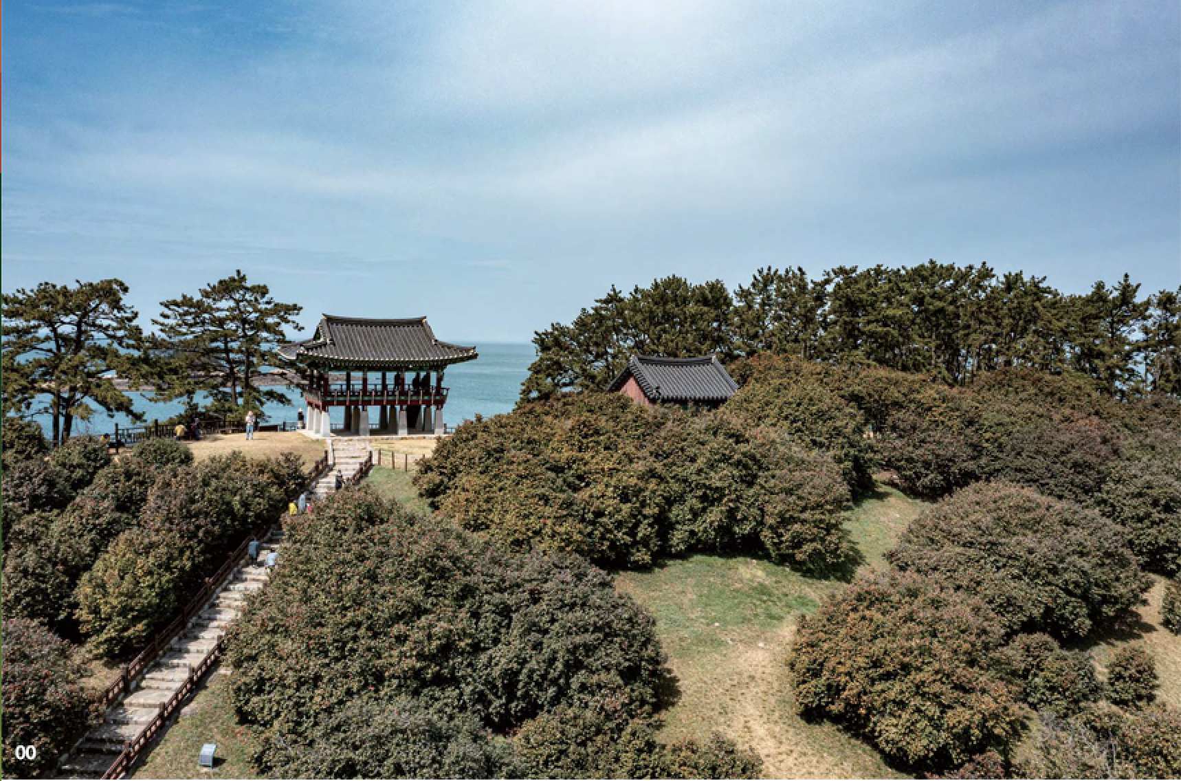 미량리 동백나무 숲