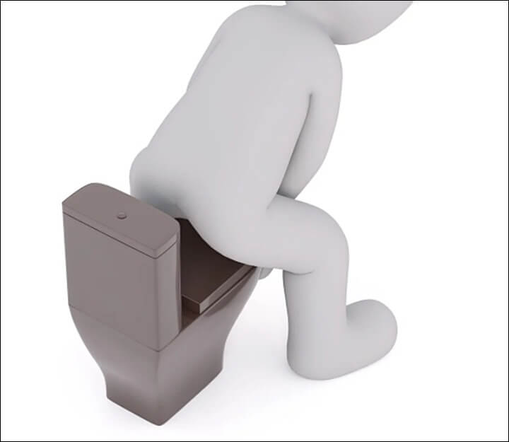 차전자피의-효능-변비