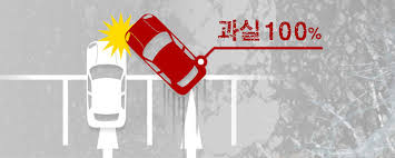 과실 100% 사진