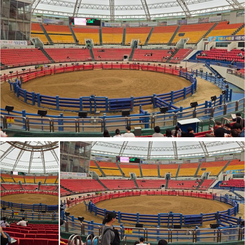 청도 소싸움 경기장